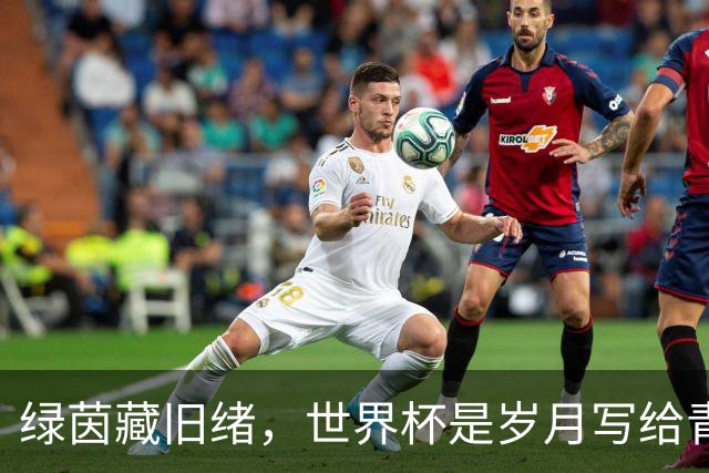 绿茵藏旧绪，世界杯是岁月写给青春的信